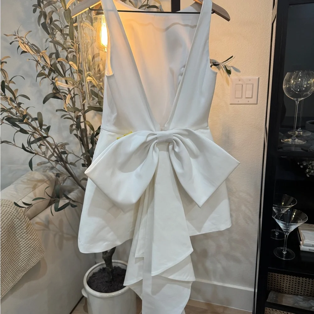 Sachin & Babi Reed Sleeveless Back-Bow Mini Dress (US4/UK8) - Picture 4 of 6